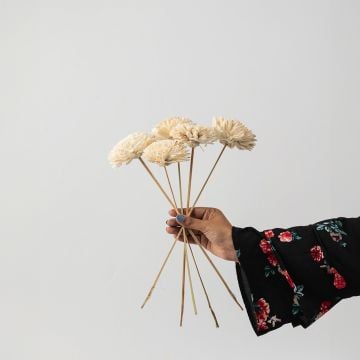 Sola Flower Set Of 5 - WhiteHand Image