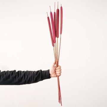 Typha Grass Pink Set of 5Hand Image