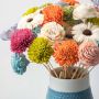 Exotic Wooden Shola Flowers Bouquet Closeup