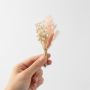 osuke boutonniere white background 1