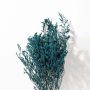 Closeup of preserved teal limonium foliage stem with delicate branches perfect for DIY vase decor floral styling and interiors.