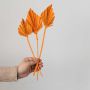 Orange dried palm leaves on white background for modern decorative styling.