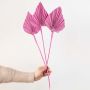Pink dried palm leaves on white background for stylish vase decoration.