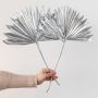 Silver dried palm leaf displayed on white background for stylish vase decor and modern interior accents.