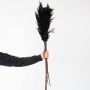 Black pampas grass stems displayed on white background for tall vase styling and boho chic decorative accents.