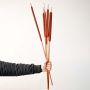 Rust cattail stems displayed on white background for tall vase decoration and boho chic home styling.