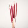 Red cattail dried stem captured in hand closeup highlighting cylindrical floral texture for DIY home styling.