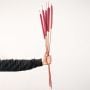 Single red cattail dried flower stem with long stalk on white background minimalist botanical decor.