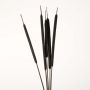Detailed view of black bulrush stem highlighting smooth texture and natural earthy tone for decorative styling.