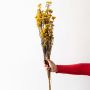 Yellow dried statice flower bunch displayed in elegant green ceramic vase with gold detail on plain white background.
