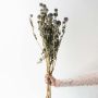Grey dried globe thistle bouquet preserved flowers styled in tall white ceramic vase lifestyle modern home decor.