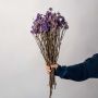 White background image 1 displaying dried purple statice flowers with long brown stems perfect for table vase styling.