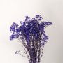 Preserved Babysbreath Light Purple Closeup