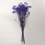 preserved babysbreath light purple white background