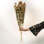 Dried Pineapple Flower - Orange