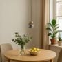 Sleek Dome Brass & Smoky Pendant Light