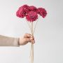 Single pink sola flower stick on plain white background creating an artificial decorative bloom for vases and floral arrangements.