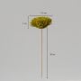 Sola Flower Set Of 5 - Lemon Green