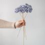 purple dried flower stems with natural stick and delicate petals displayed on clean white background decor piece.