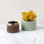 A brown vase with a gold rim displayed as part of a grouped decor setup highlighting its modern textured design and compact rounded form.