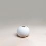 White Round Ball Ceramic Flower Vase White Background