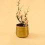 Gold textured metal vase styled with flowering branches on warm backdrop creating elegant focal point for modern home Decor.