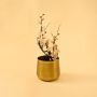 Gold metal planter decor styled in a cozy modern interior bringing warm elegant charm to living room consoles and tables.