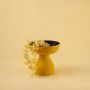 Modern yellow pedestal bowl with striking black interior styled in a home setting bringing bright contemporary decor charm.