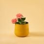 Yellow decorative pot with matte finish and black interior styled in a cozy warm setting adding vibrant modern decor.