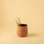 Small terracotta textured pot with matte finish styled in a cozy modern home setting adding warm natural decor charm.