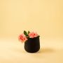 Small black textured pot with ribbed design styled in a cozy modern interior adding subtle artistic decor accents.