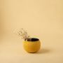 Yellow round pot with matte black interior placed in a soft neutral setting adding bright modern decor to any minimal home space.