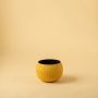 Zarb Vase Yellow Small White Background