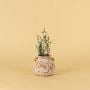 Turkish Terracotta Vase - Round Shape