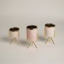 Addis Vase - Pink