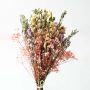 Blooming Pink Mix Dried Bouquet Closeup