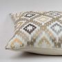 Calor Shades Embroidered Cotton Cushion Cover Closeup