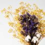 Detailed closeup of dried floral arrangement highlighting preserved babys breath purple flowers and soft cotton stems in bouquet.