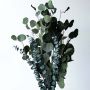 Eucalyptus-Apple Leaves Flower Bouquet Closeup