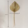 Hand Fan Palm Leaves - Yellow
