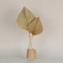 Hand Fan Palm Leaves - Yellow Grouped