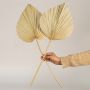 Hand Fan Palm Leaves - Yellow