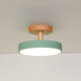 macaron loft led ceiling light - green light on white background