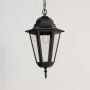 Paris Outdoor Hanging Light - large