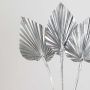 Palm Spear Silver Story Set of 3 - Medium