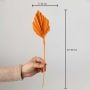 Palm Spear Orange Sunshine Set of 3 - Small