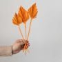 Palm Spear Orange Sunshine Set of 3 - Small