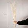 Preserved Mother Worth - White