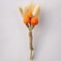 Roseus Boutonniere White Background