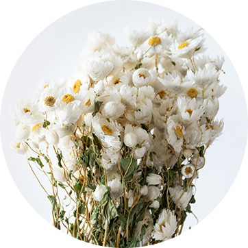 dried flowers for event